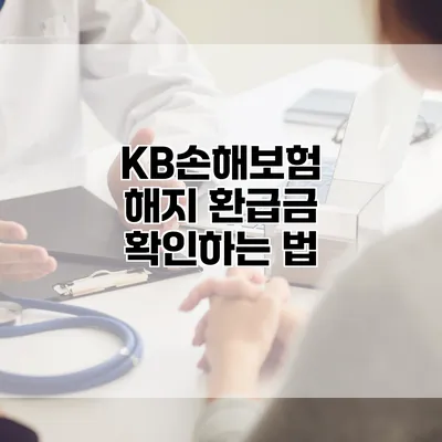 KB손해보험 해지 환급금 확인하는 법