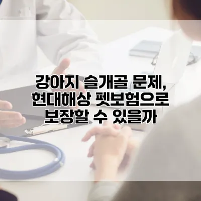 강아지 슬개골 문제, 현대해상 펫보험으로 보장할 수 있을까?