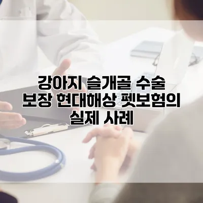 강아지 슬개골 수술 보장 현대해상 펫보험의 실제 사례