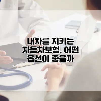 내차를 지키는 자동차보험, 어떤 옵션이 좋을까?