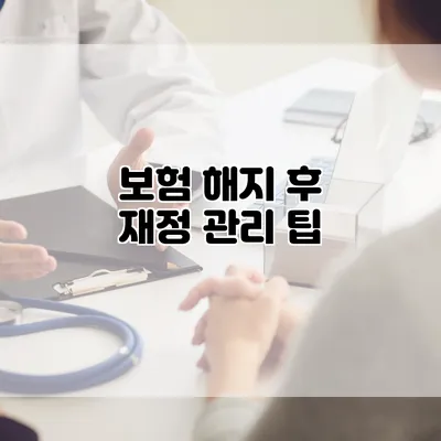 보험 해지 후 재정 관리 팁