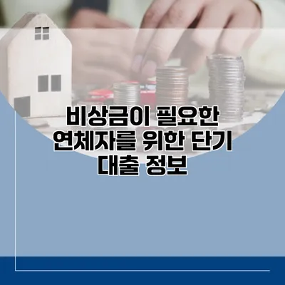 비상금이 필요한 연체자를 위한 단기 대출 정보