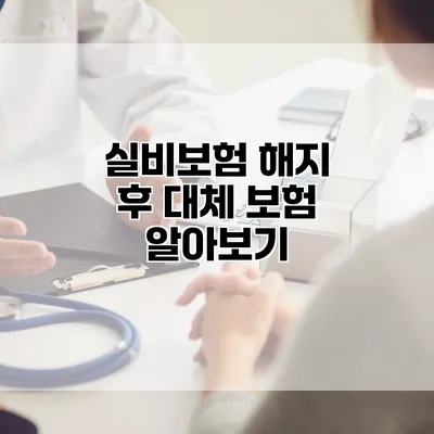 실비보험 해지 후 대체 보험 알아보기