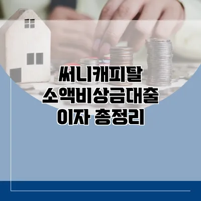써니캐피탈 소액비상금대출 이자 총정리