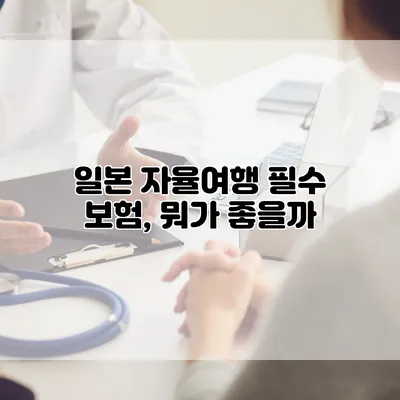 일본 자율여행 필수 보험, 뭐가 좋을까?