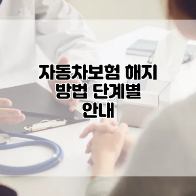 자동차보험 해지 방법 단계별 안내