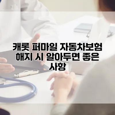 캐롯 퍼마일 자동차보험 해지 시 알아두면 좋은 사항