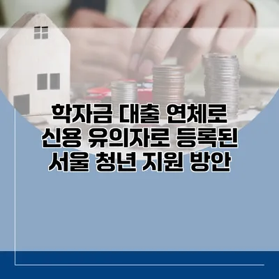 학자금 대출 연체로 신용 유의자로 등록된 서울 청년 지원 방안