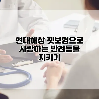 현대해상 펫보험으로 사랑하는 반려동물 지키기