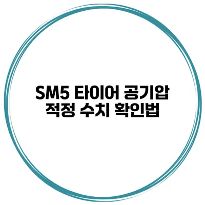 SM5 타이어 공기압 적정 수치 확인법