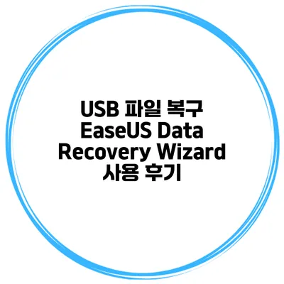 USB 파일 복구 EaseUS Data Recovery Wizard 사용 후기