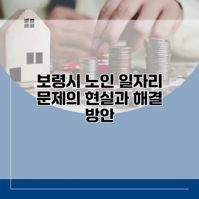 보령시 노인 일자리 문제의 현실과 해결 방안
