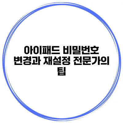 아이패드 비밀번호 변경과 재설정 전문가의 팁